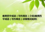 唯美四字成语（可作网名）介绍(唯美四字成语（可作网名）详细情况如何)