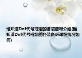 谁知道Dnf代号戒烟的各装备呀介绍(谁知道Dnf代号戒烟的各装备呀详细情况如何)