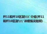 歼11和歼10区别\