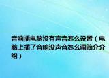 音响插电脑没有声音怎么设置（电脑上插了音响没声音怎么调简介介绍）