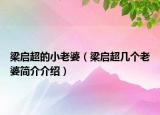 梁启超的小老婆（梁启超几个老婆简介介绍）