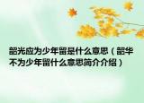 韶光应为少年留是什么意思（韶华不为少年留什么意思简介介绍）