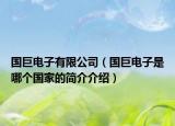 国巨电子有限公司（国巨电子是哪个国家的简介介绍）