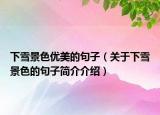 下雪景色优美的句子（关于下雪景色的句子简介介绍）