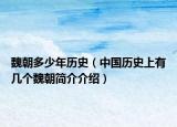 魏朝多少年历史（中国历史上有几个魏朝简介介绍）