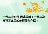 一元三次方程 因式分解（一元三次方程怎么因式分解简介介绍）