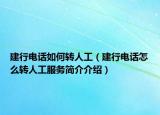 建行电话如何转人工（建行电话怎么转人工服务简介介绍）