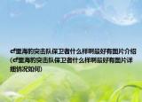 cf里海豹突击队保卫者什么样啊最好有图片介绍(cf里海豹突击队保卫者什么样啊最好有图片详细情况如何)