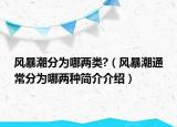 风暴潮分为哪两类?（风暴潮通常分为哪两种简介介绍）