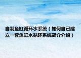 自制鱼缸循环水系统（如何自己建立一套鱼缸水循环系统简介介绍）