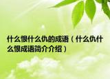 什么恨什么仇的成语（什么仇什么恨成语简介介绍）
