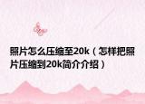 照片怎么压缩至20k（怎样把照片压缩到20k简介介绍）