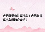 合肥哪里有共享汽车（合肥有共享汽车吗简介介绍）