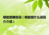 蜻能组哪些词（蜻能组什么词简介介绍）