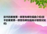 放羊的星星第一部里有哪些插曲介绍(放羊的星星第一部里有哪些插曲详细情况如何)