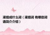 灌组成什么词（灌组词 有哪些词语简介介绍）
