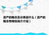 资产的概念及分类是什么（资产的概念有哪些简介介绍）