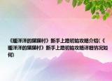 《暖洋洋的猫猫村》新手上路初始攻略介绍(《暖洋洋的猫猫村》新手上路初始攻略详细情况如何)