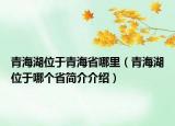 青海湖位于青海省哪里（青海湖位于哪个省简介介绍）