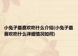 小兔子最喜欢吃什么介绍(小兔子最喜欢吃什么详细情况如何)
