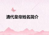 清代皇帝姓名简介