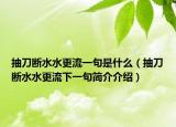 抽刀断水水更流一句是什么（抽刀断水水更流下一句简介介绍）
