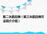肱二头肌拉伸（肱三头肌拉伸方法简介介绍）