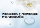 有哪些很拽的句子介绍(有哪些很拽的句子详细情况如何)