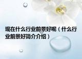 现在什么行业前景好呢（什么行业前景好简介介绍）