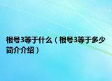 根号3等于什么（根号3等于多少简介介绍）