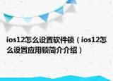 ios12怎么设置软件锁（ios12怎么设置应用锁简介介绍）