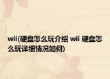 wii(硬盘怎么玩介绍 wii 硬盘怎么玩详细情况如何)