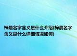 梓晨名字含义是什么介绍(梓晨名字含义是什么详细情况如何)