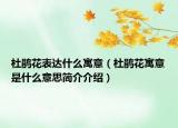 杜鹃花表达什么寓意（杜鹃花寓意是什么意思简介介绍）