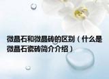 微晶石和微晶砖的区别（什么是微晶石瓷砖简介介绍）