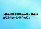 小罗伯特唐尼名字的由来（罗伯特唐尼为什么叫小简介介绍）
