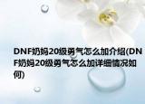 DNF奶妈20级勇气怎么加介绍(DNF奶妈20级勇气怎么加详细情况如何)