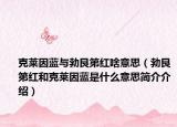 克莱因蓝与勃艮第红啥意思（勃艮第红和克莱因蓝是什么意思简介介绍）