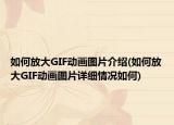 如何放大GIF动画图片介绍(如何放大GIF动画图片详细情况如何)