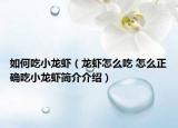 如何吃小龙虾（龙虾怎么吃 怎么正确吃小龙虾简介介绍）