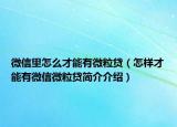 微信里怎么才能有微粒贷（怎样才能有微信微粒贷简介介绍）