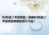 B2科目二考试项目（新规B2科目二考试项目有哪些简介介绍）