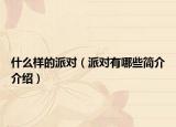 什么样的派对（派对有哪些简介介绍）