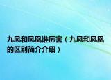 九凤和凤凰谁厉害（九凤和凤凰的区别简介介绍）