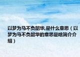 以梦为马不负韶华,是什么意思（以梦为马不负韶华的意思是啥简介介绍）