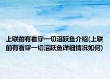 上联前有看穿一切沼跃鱼介绍(上联前有看穿一切沼跃鱼详细情况如何)