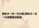 茶杯犬一元一只介绍(茶杯犬一元一只详细情况如何)