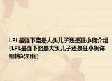 LPL最强下路是大头儿子还是狂小狗介绍(LPL最强下路是大头儿子还是狂小狗详细情况如何)