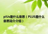 plUs是什么意思（PLUS是什么意思简介介绍）