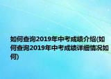 如何查询2019年中考成绩介绍(如何查询2019年中考成绩详细情况如何)